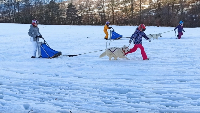Conducción en trineo para niños 