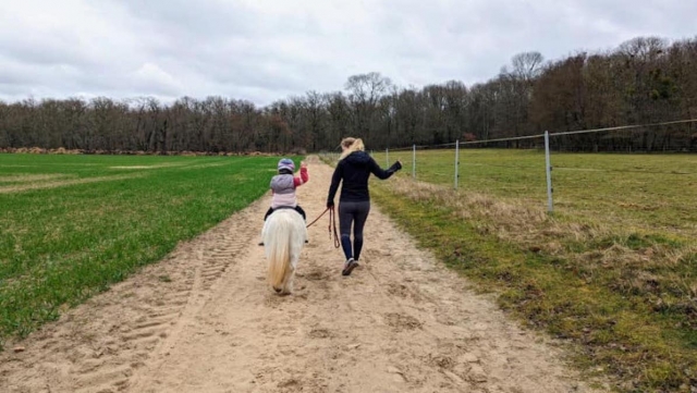  Paseo en pony en Essonne 