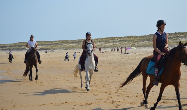  Magníficos pbaños a caballo junto al mar en Gironda 