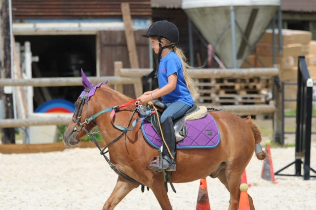  Pequeño jinele apasionado 
