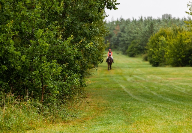  Paseo a caballo por el campo 