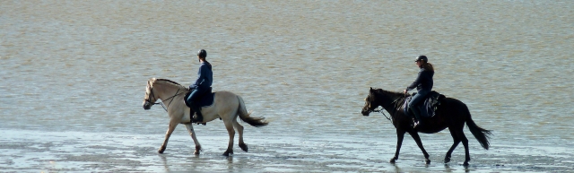  Refrescanle paseo a caballo por el Océano Atlántico