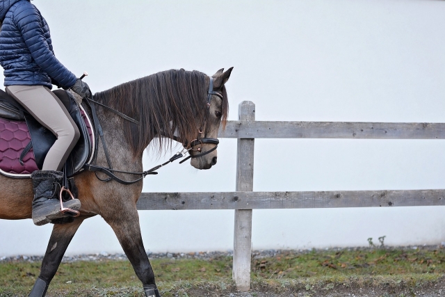  Vamos a dar un paseo a caballo 