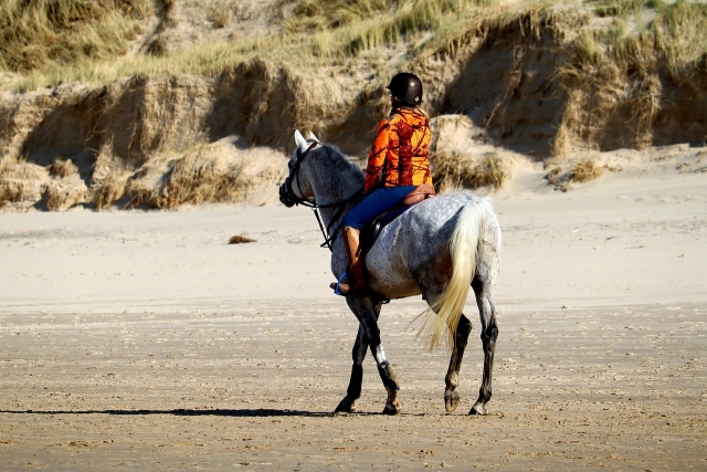  Galopando en la playa 