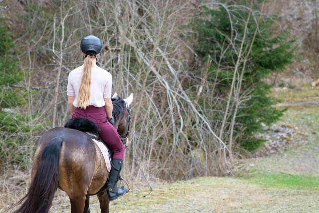  Pbaños a caballo por los bosques de la Gironda 
