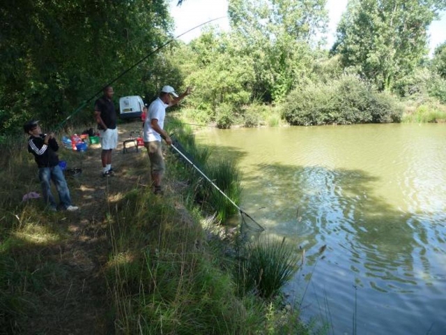  Clases de pesca en familia