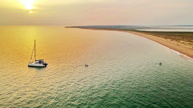  Paseo en barco a Aiguillon-la-Presqu'île 