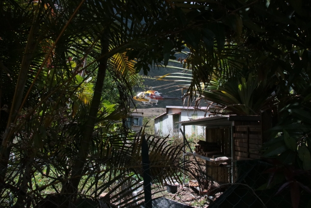  Vista del helicóptero entre las palmeras 