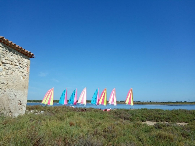  Colonia de catamaranes 