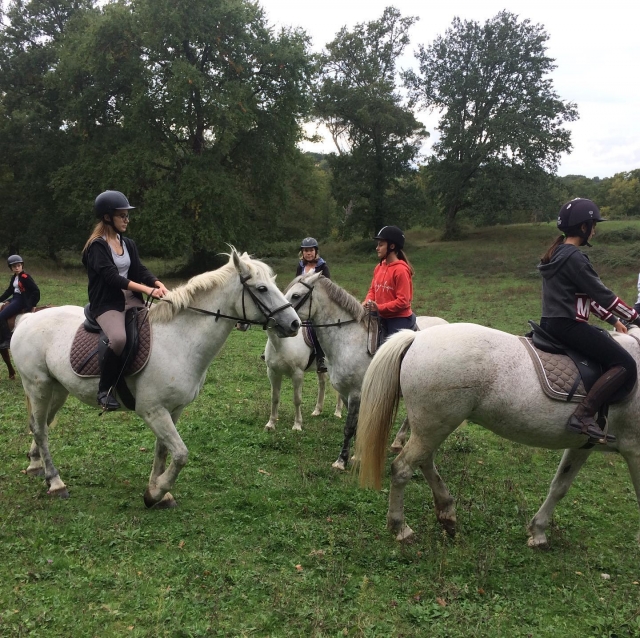  En Gironda, subir a caballo 