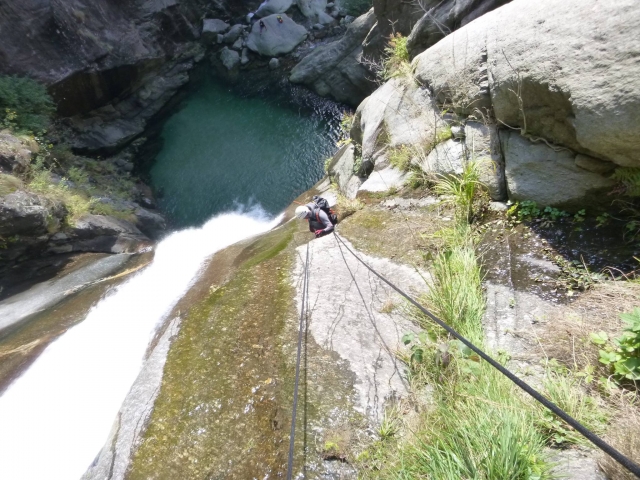  Dosis de adrenalina en vía ferramarra 