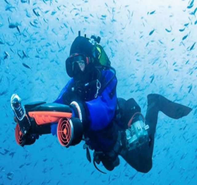  Aprovecha nuestro submarino eléctrico para explorar la fauna y la flora de nuestra región 
