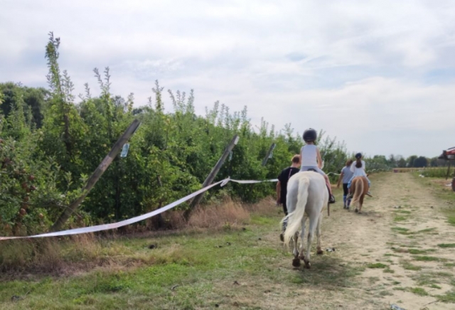  Pbaños a caballo en Sena y Marne 