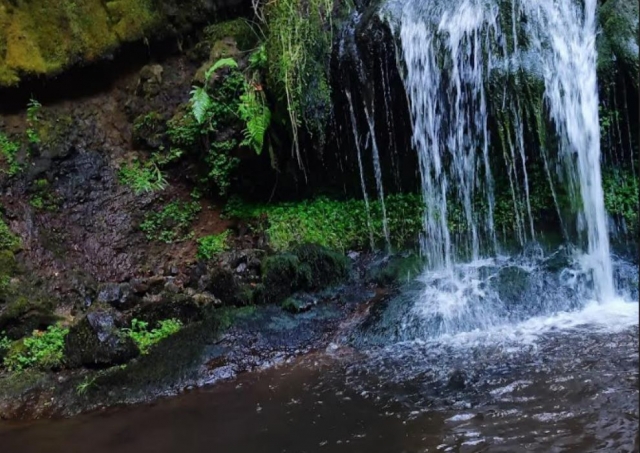  Cascada de agua en el cañón 