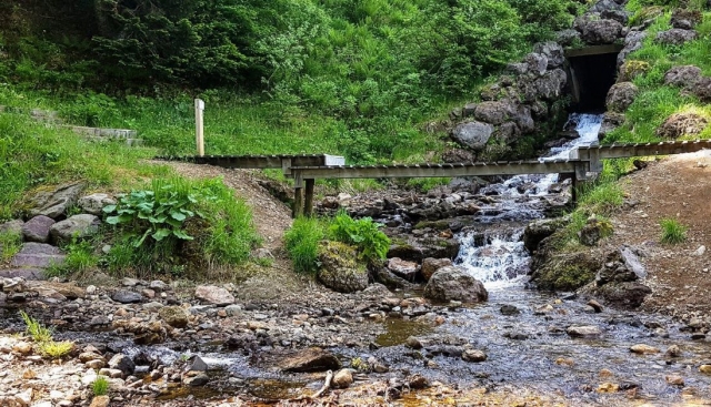  Barranquismo acompañado de un instructor de Estado cualificado en Auvernia 