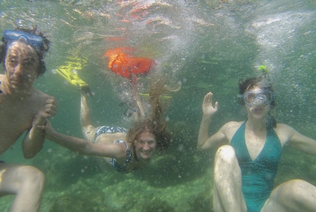  ¡Descubre el mundo marino! 