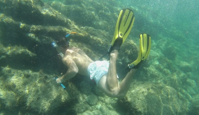  Buceo para descubrir la fauna mediterránea 