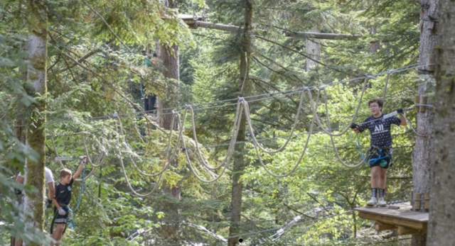  Elige su nivel de dificultad y lánzale a la aventura 