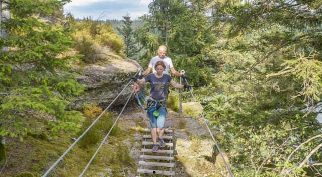  Curso de escalada de árboles accesible a todos 