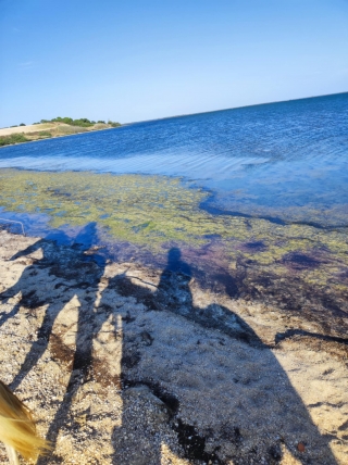 res_o-42212-_17540811491184.jpg