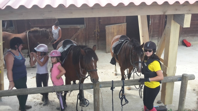  Cuidado y preparación de ponis 