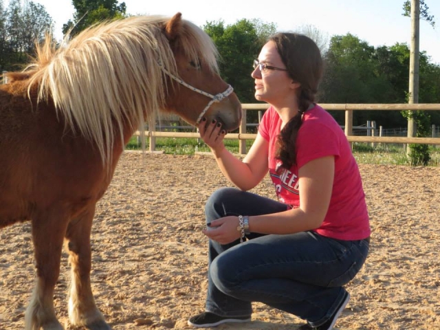  Aprende a formar un vínculo con su pony 