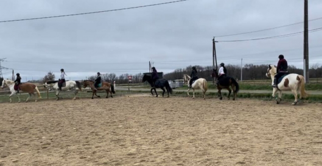  Paseo a caballo o en pony en Sérignac 