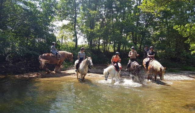  Cruza el río a caballo en esta extraordinaria excursión 