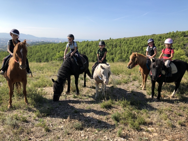 Realice una excursión al aire libre 