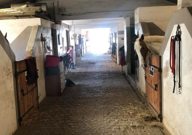  Nuestro centro ecuestre en Essonne 