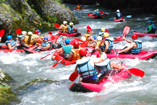  Realice en grupo una excursión rica en emociones 