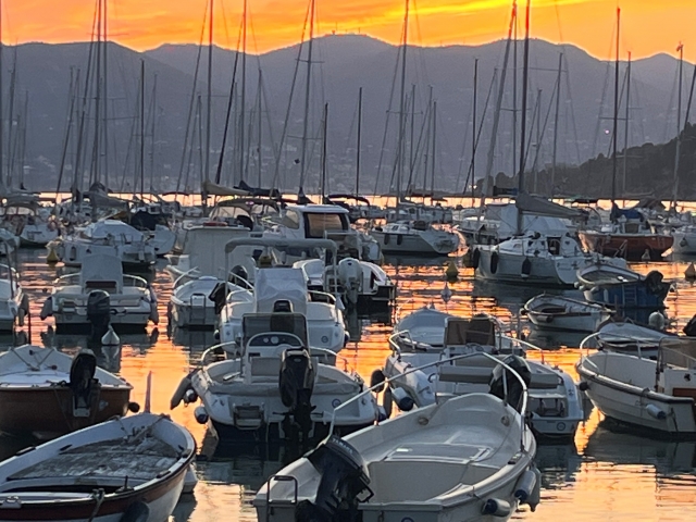  Atardecer entre los veleros 