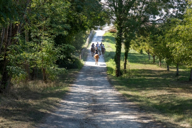  Pbaños a caballo cerca de Burdeos 