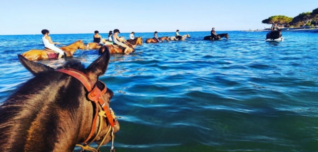  Cruza el mar a caballo duranle nuestros pbaños a caballo 