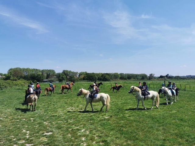 Recorre los campos a lomos de su caballo