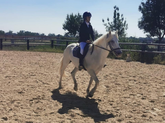 También puede beneficiarle de una lección de equitación antes de su paseo