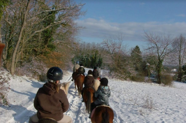  Paseo a caballo con un instructor titulado 'Stale 