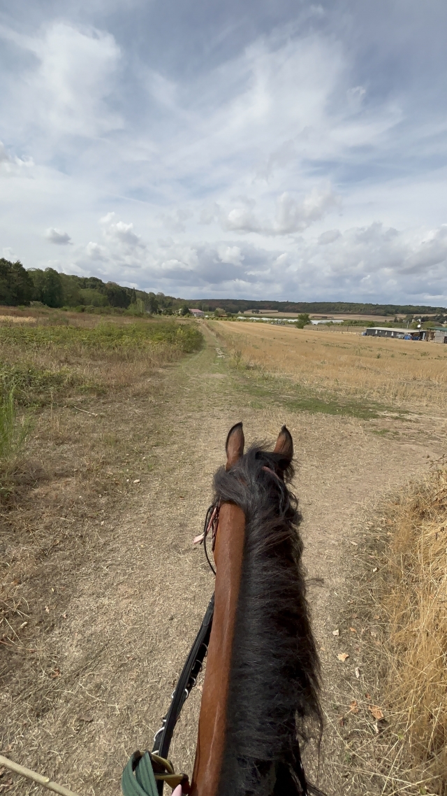 Opinión de Khebir sobre Pbaños a caballo en el Parc du Gâtinais - 2 horas