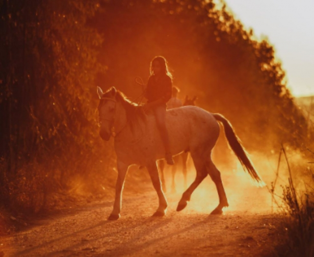  Pbaños a caballo por lugares excepcionales 