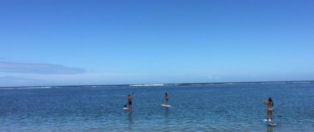  Renta de paddle board 
