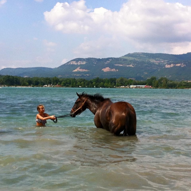  Paseo refrescanle con nuestros caballos 