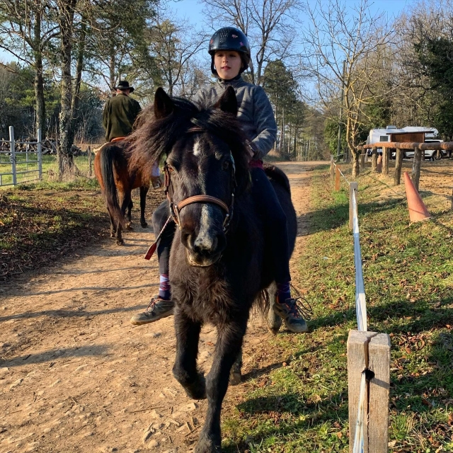  Divertido paseo en pony para sus hijos 