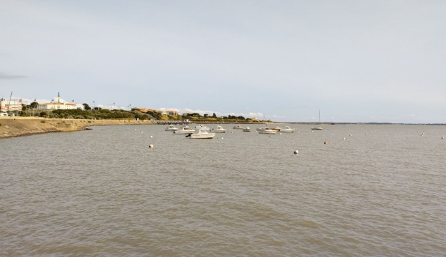  Disponemos de una amplia elección de barcos para su excursión 