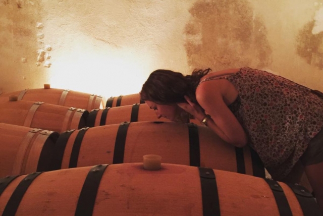 ¡Déjale seducir por las variedades de uva Libourne! 