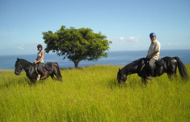  Pbaños a caballo en Saint-Paul 