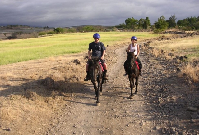  Tanto si es principianle como experto, nuestro paseo a caballo es accesible para todos 