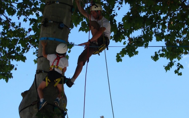  Sube a la cima del árbol acompañado de un instructor certificado por el estado