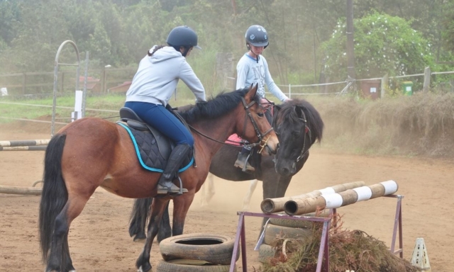  Curso de equitación 