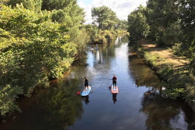  Paddle Wike con un instructor certificado por el estado 