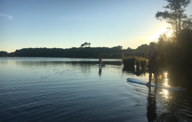 Disfruta de una sesión de remo en la costa de Aquitania 